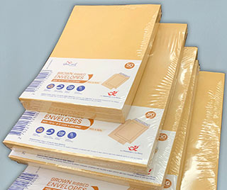 Multiplex Manila Envelopes
